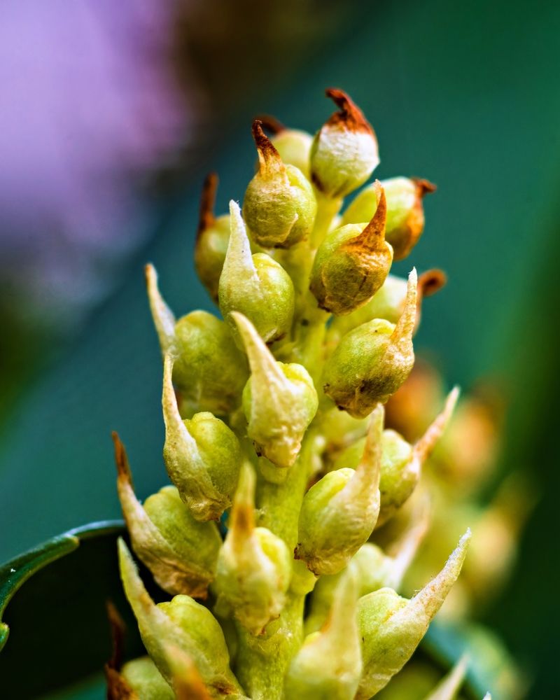 Photograph by Vadim Heinz