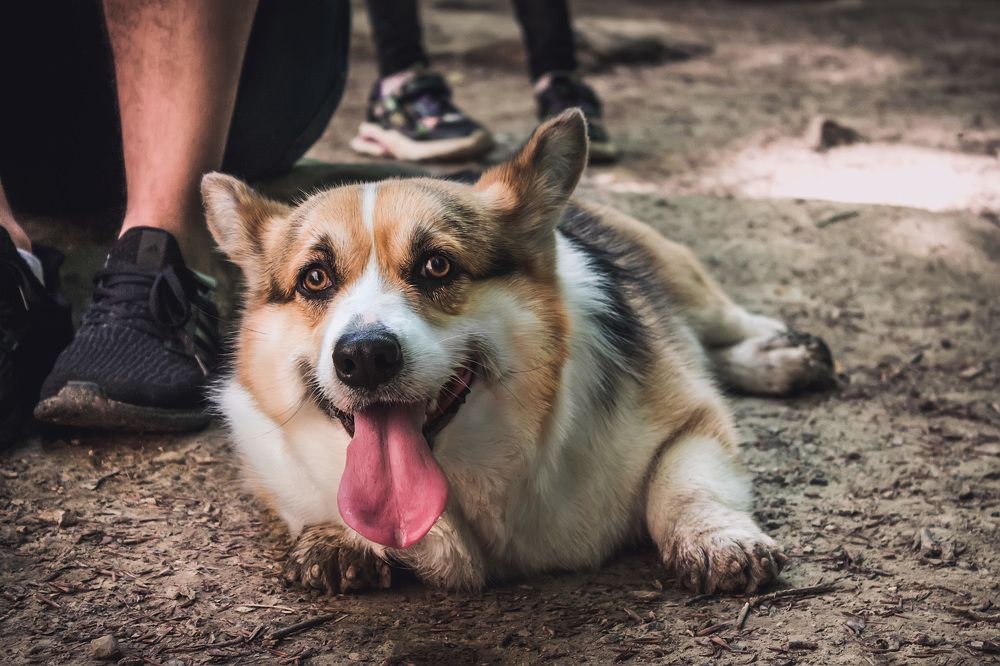 Photograph by Ольга Сельницына