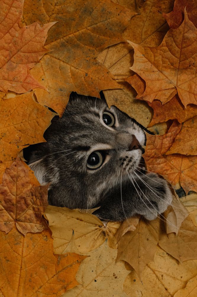 Photograph by Ольга Осинина