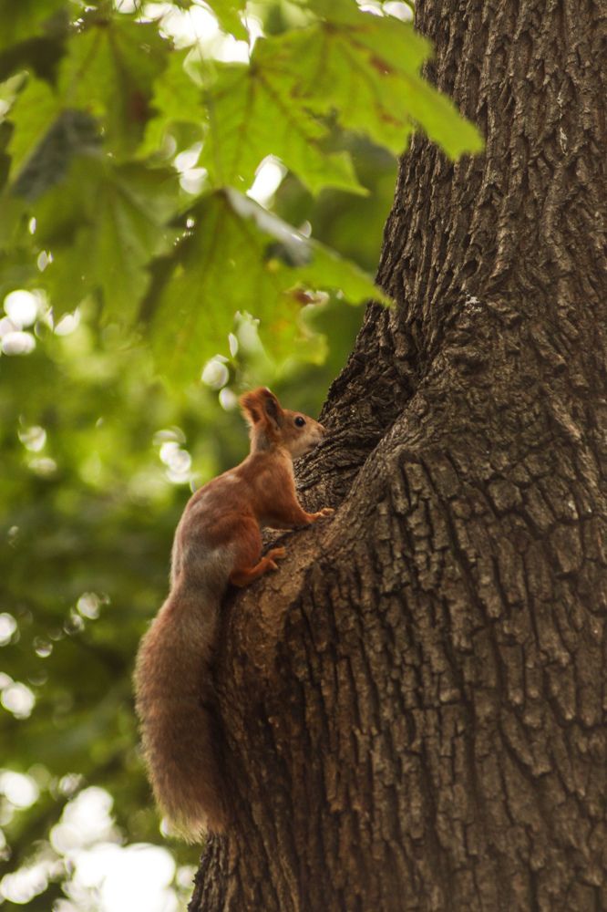 Photograph by Елена Квасова