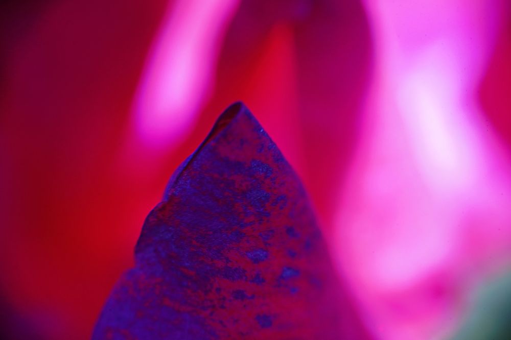 Photograph by Vadim Heinz