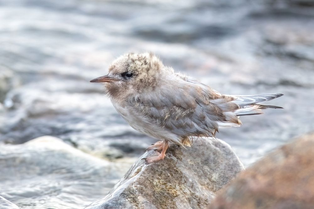 Photograph by Власов Егор
