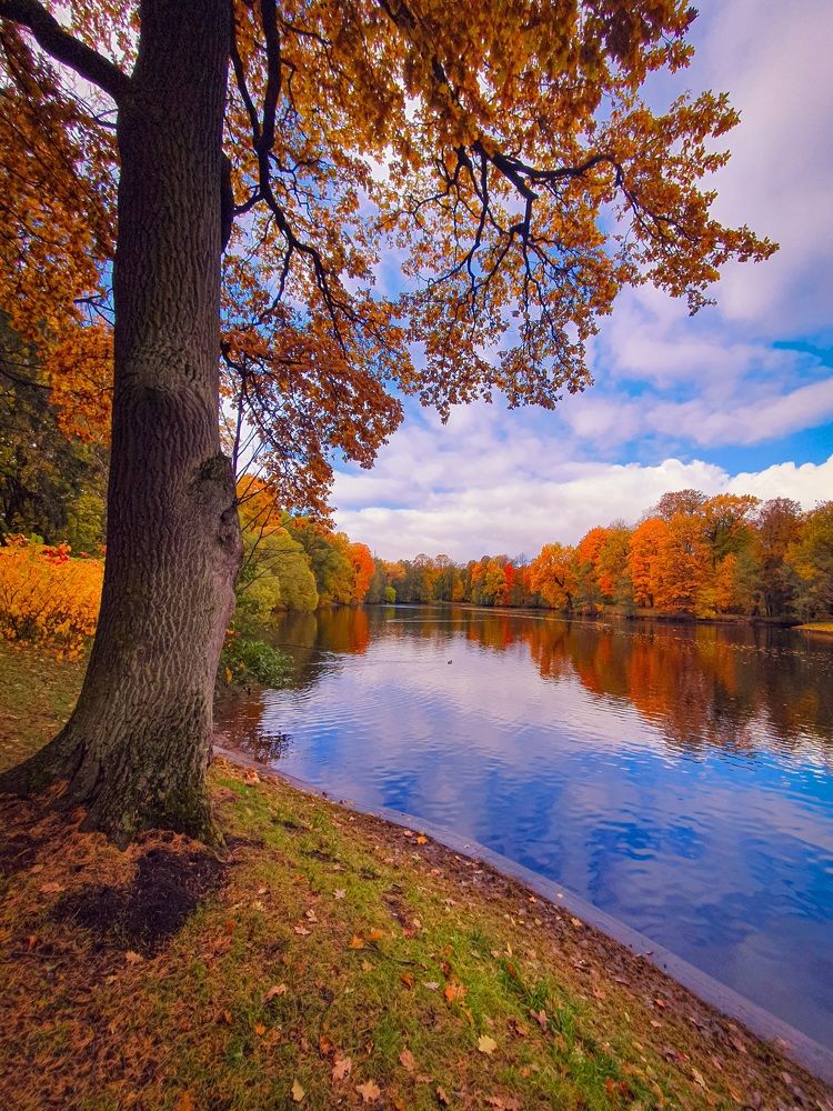 Осенний парк.