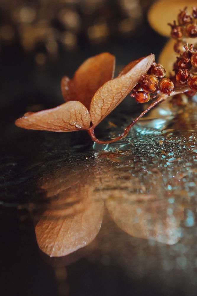 Photograph by Олеся Постнова