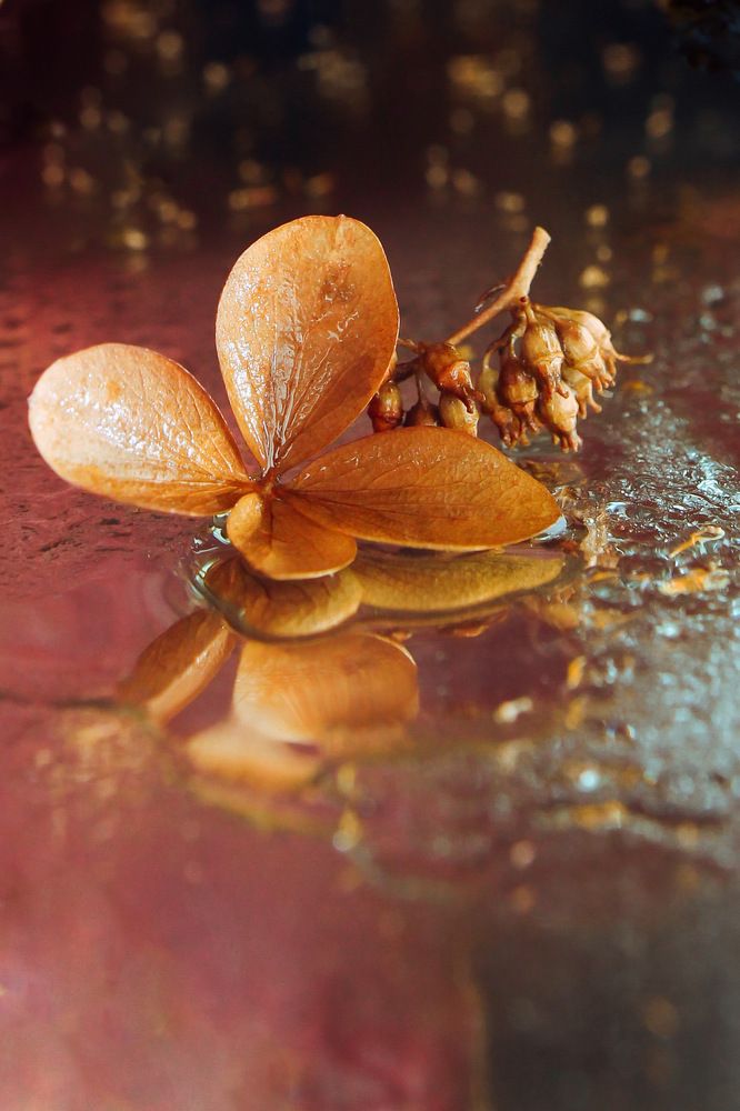 Photograph by Олеся Постнова