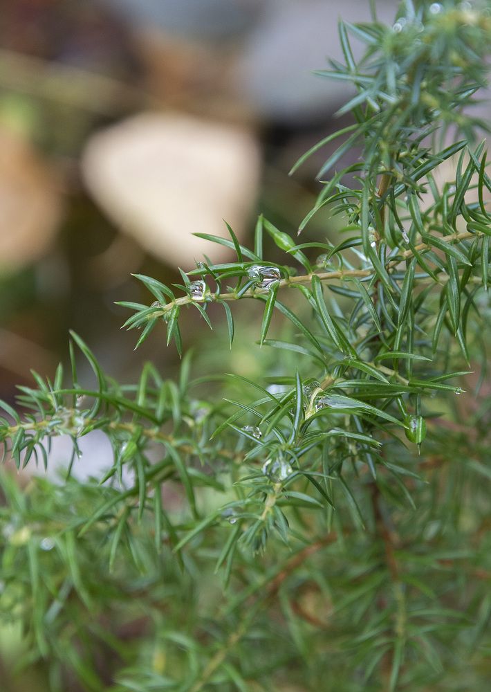 Photograph by Олег Малетин