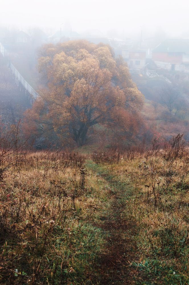 Photograph by Екатерина Карпова