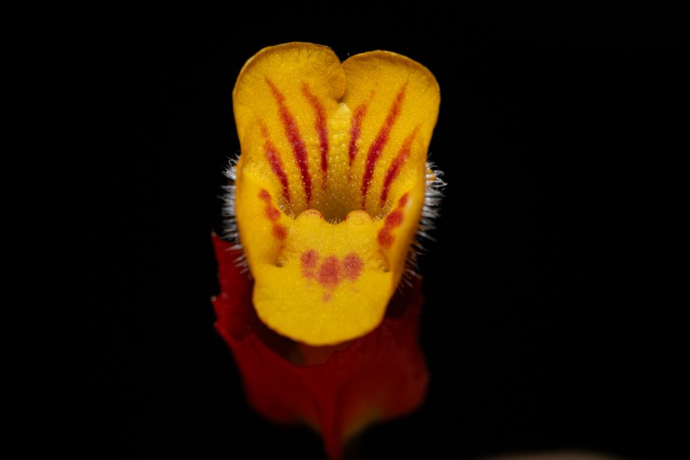 Photograph by Савин Андрей