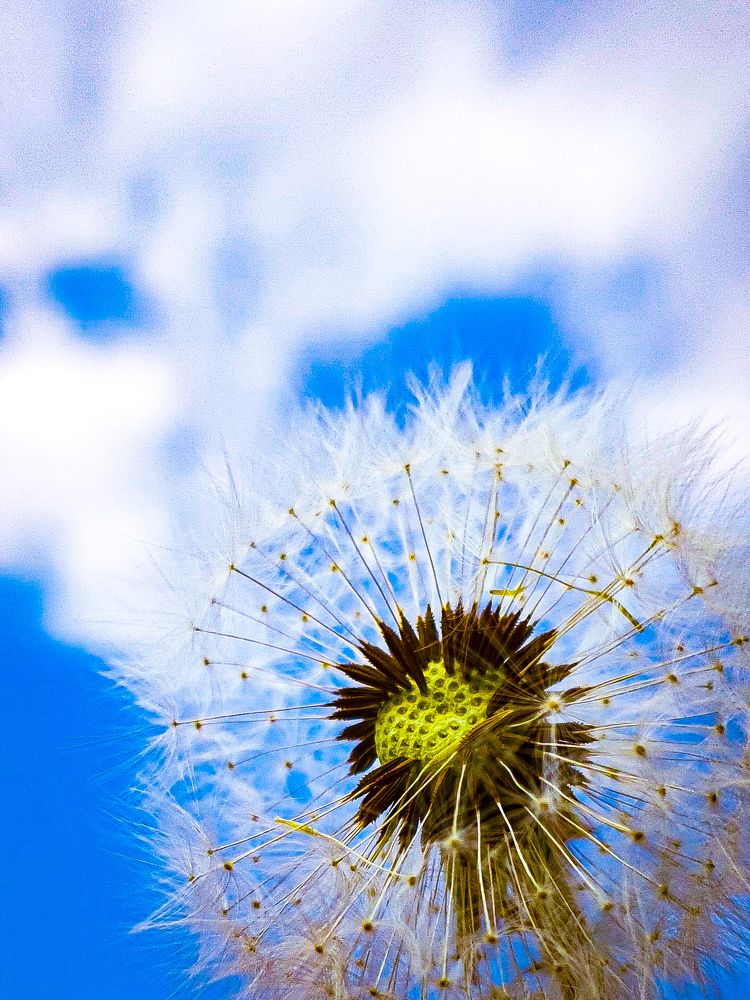 Фотография автора Ольга Шишук