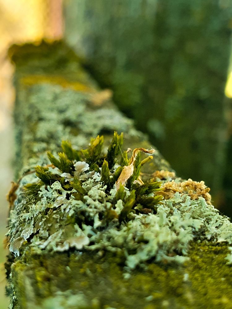 Фотография автора Ольга Шишук