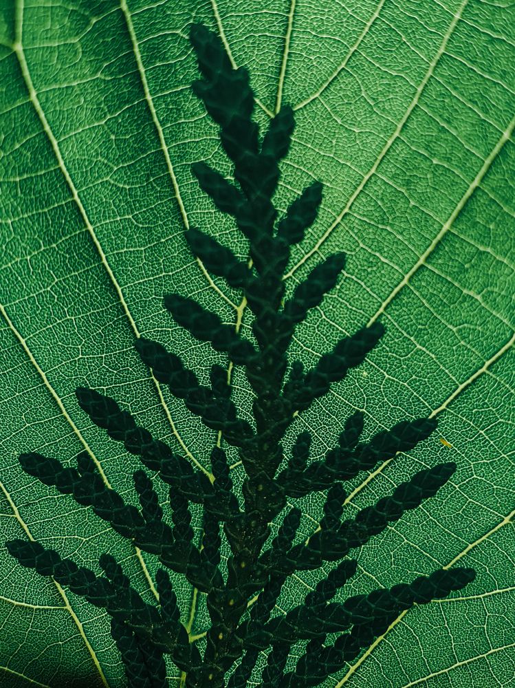 Фотография автора Ольга Шишук