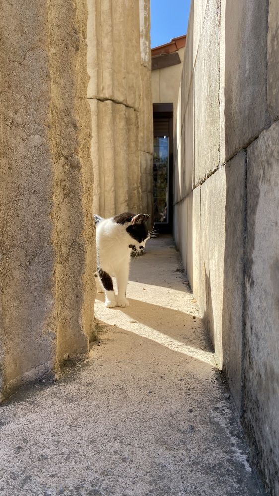 Photograph by Светлана Фесенко