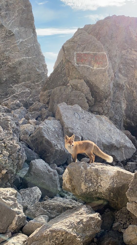 Photograph by Светлана Фесенко