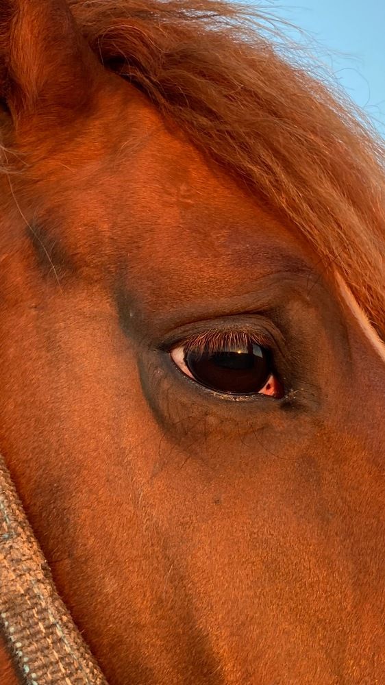 Photograph by Светлана Фесенко