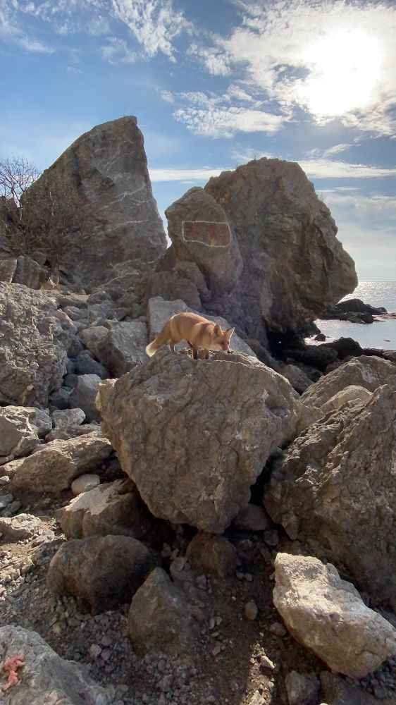 Photograph by Светлана Фесенко