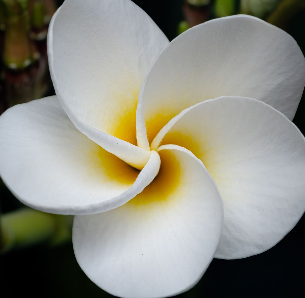 Photograph by Савин Андрей