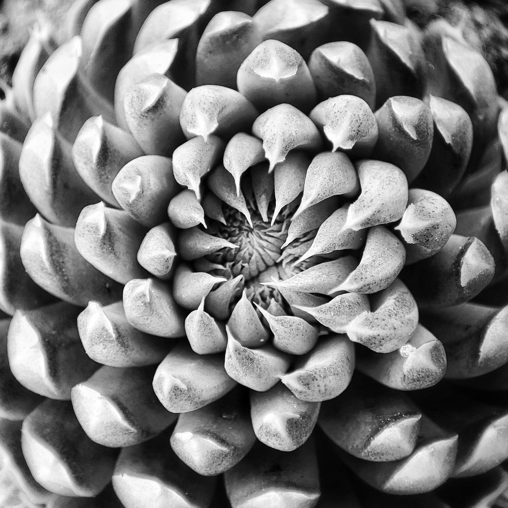 Photograph by Алина Эбель