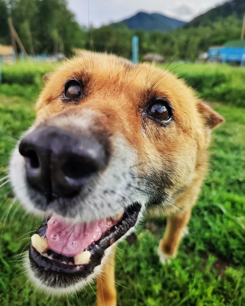 Photograph by Алина Эбель