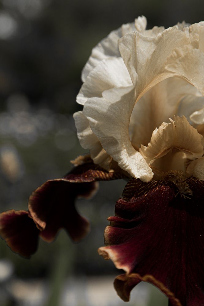 Фотография автора Anastasia Rezvaya