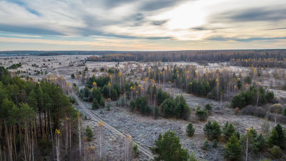 Photograph by Александр Чибиркин
