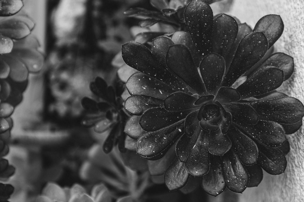 Фотография автора Anastasia Rezvaya