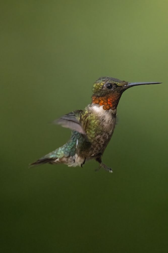 Photograph by Dave Miller