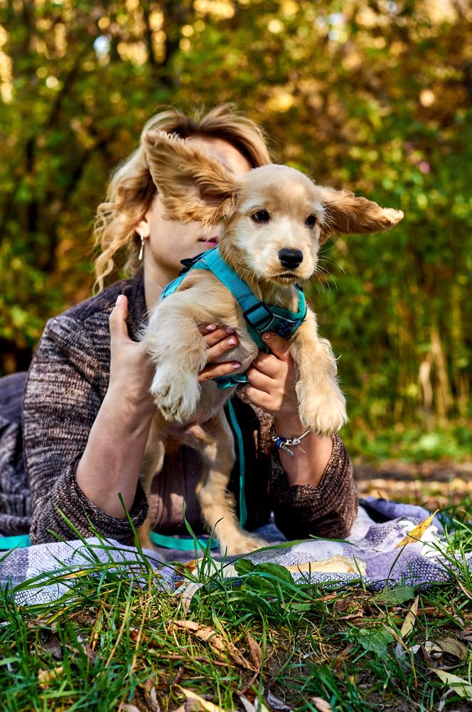 Photograph by Aleksey Mayorov