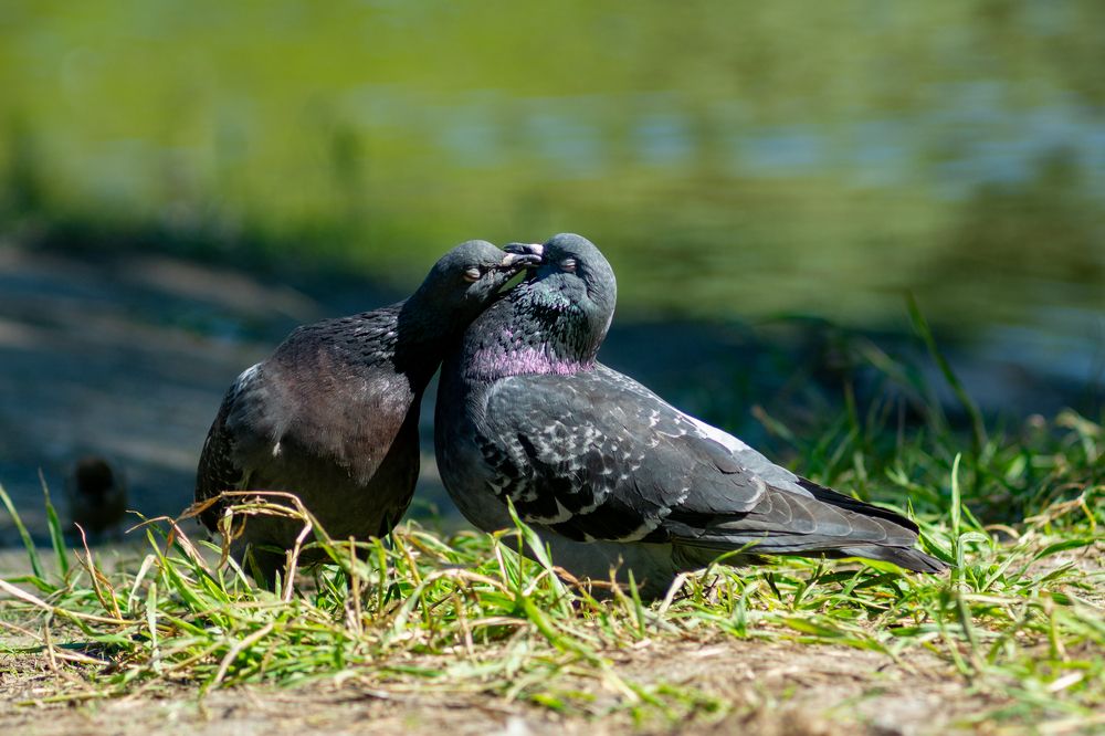 Photograph by Евгения Шулакова
