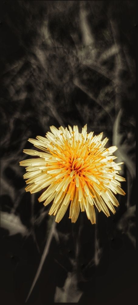 Photograph by Валентин Волк