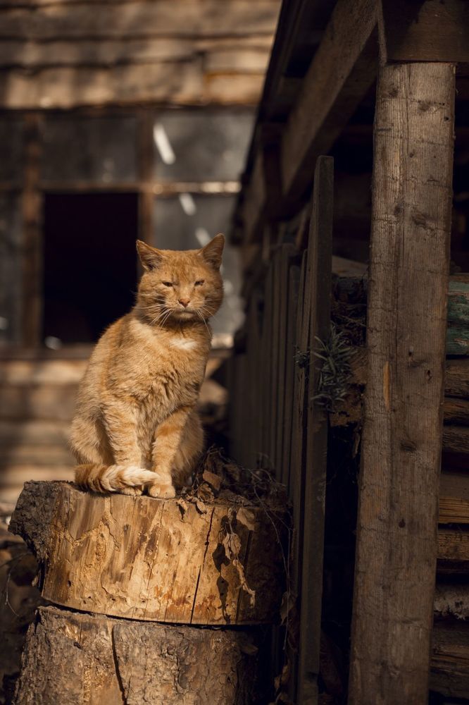 Photograph by Татьяна Артник