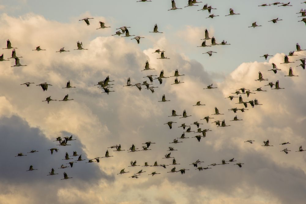 Photograph by Александр Литвинов