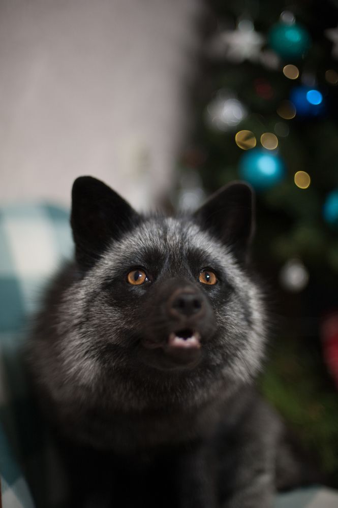 Photograph by Дарья Молчанова