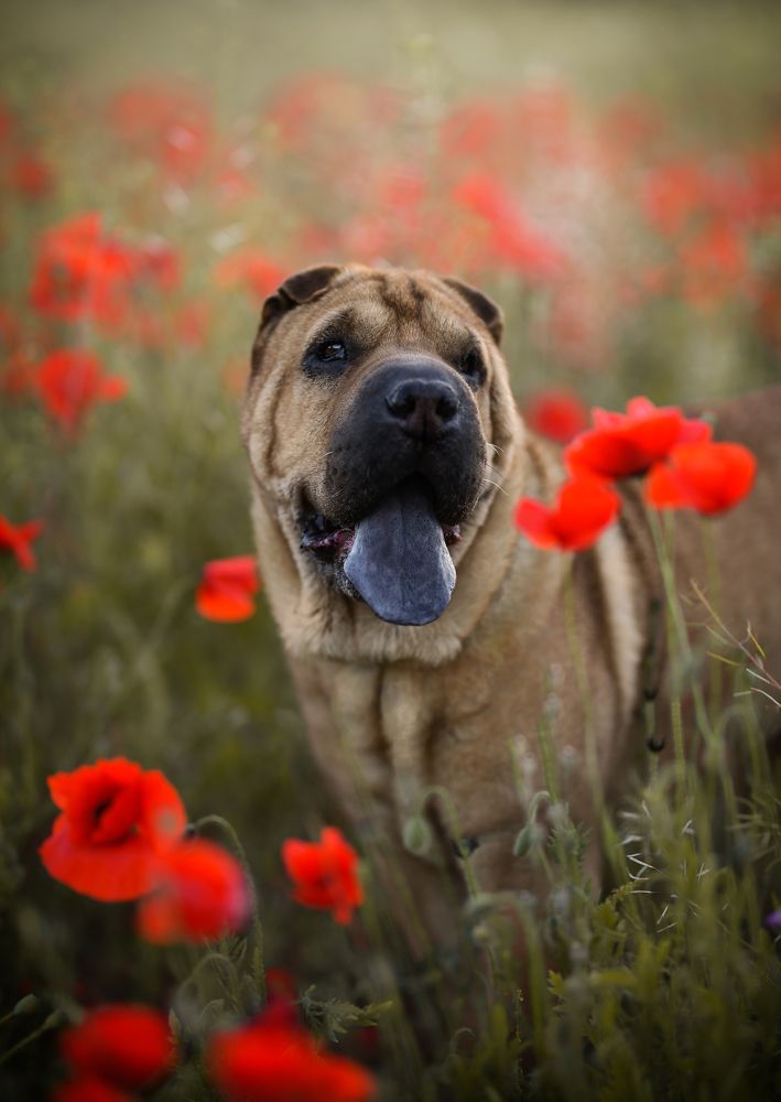 Photograph by Cristina Rodelas Rodriguez