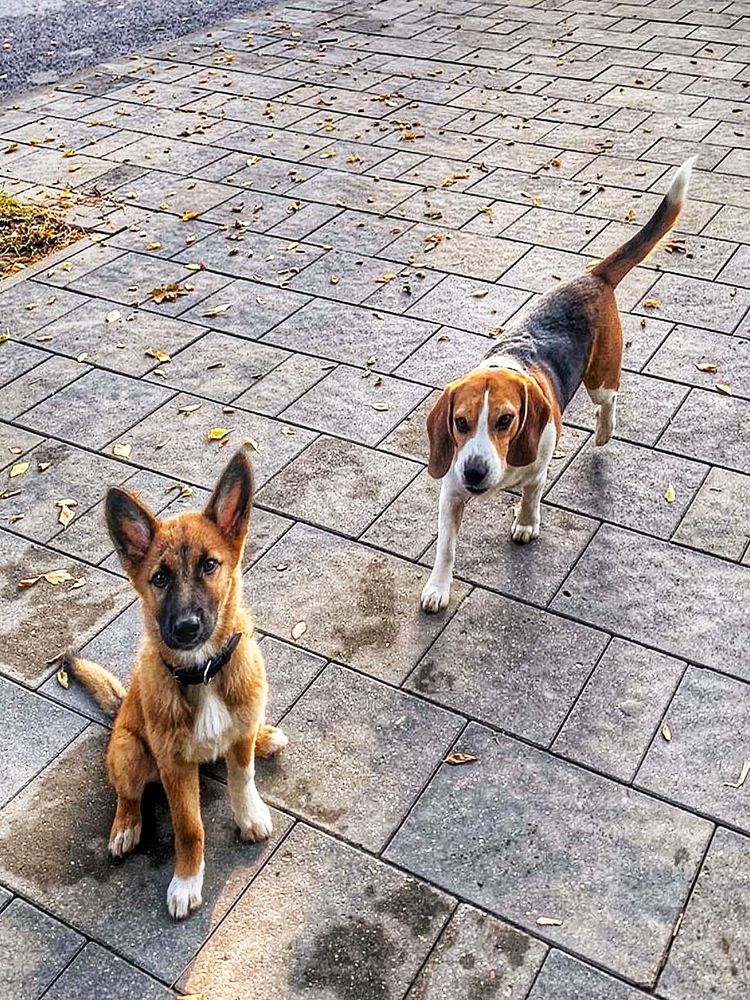 Photograph by Елена Егорова