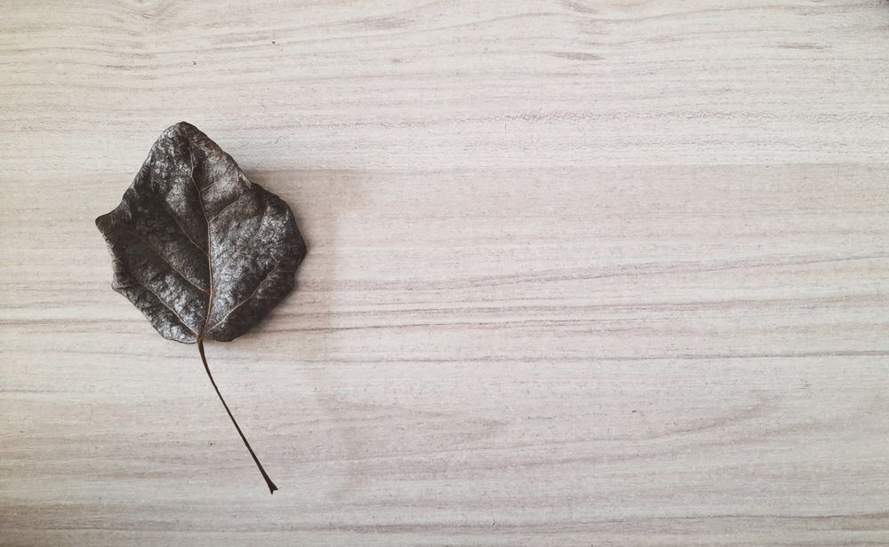 Фотография автора Анна Морозова