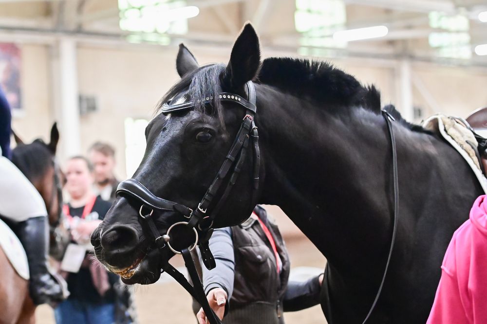 Photograph by Екатерина Рябинина