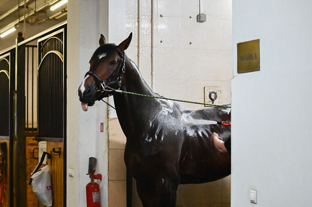 Photograph by Екатерина Рябинина