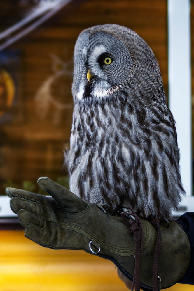 Манечка, просто Манечка.