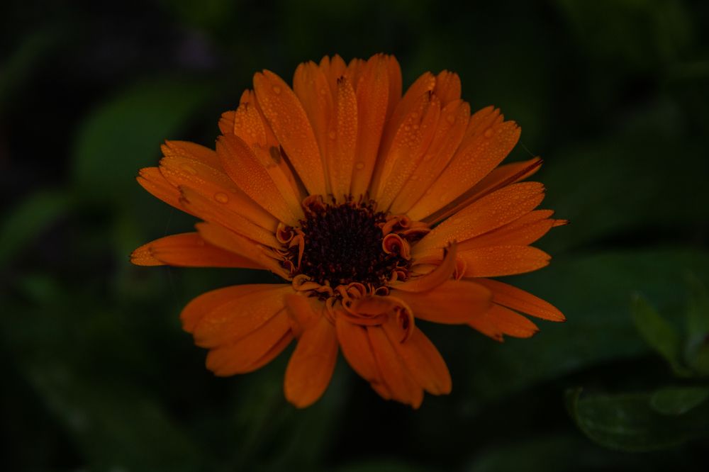 Photograph by Евгений Авдеев