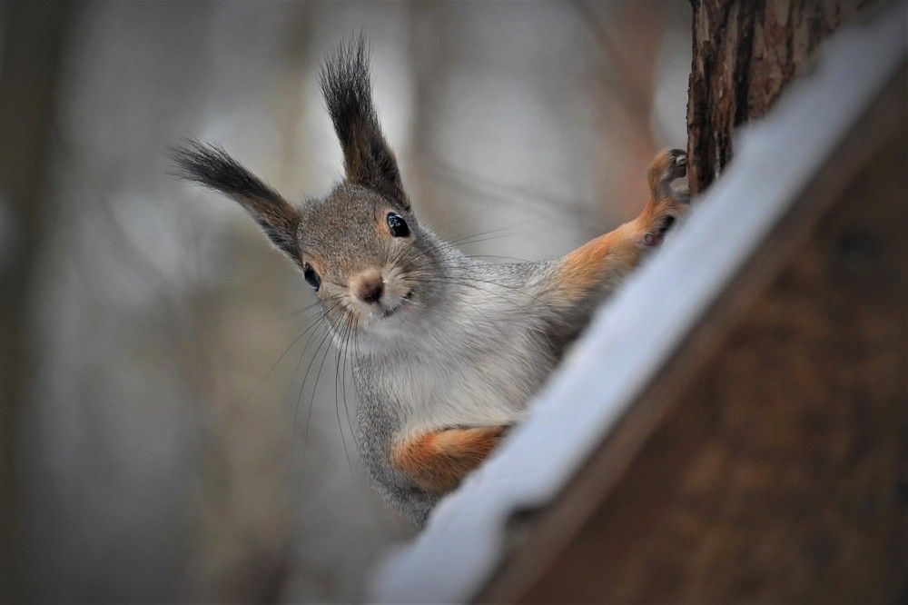 Фотография автора IRINA FILIPPOVA