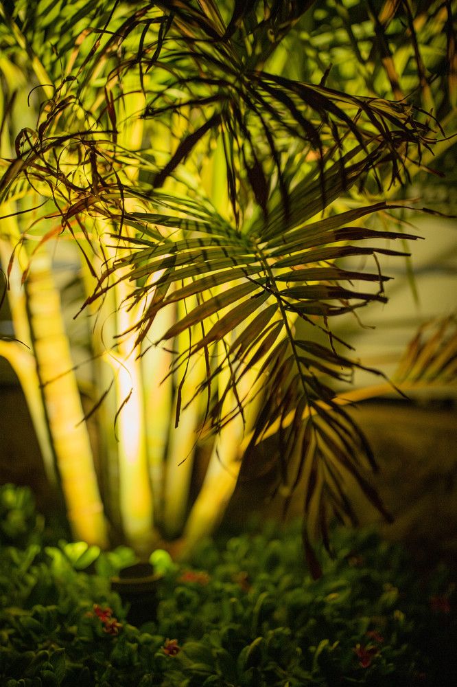 Photograph by Violeta Sapir