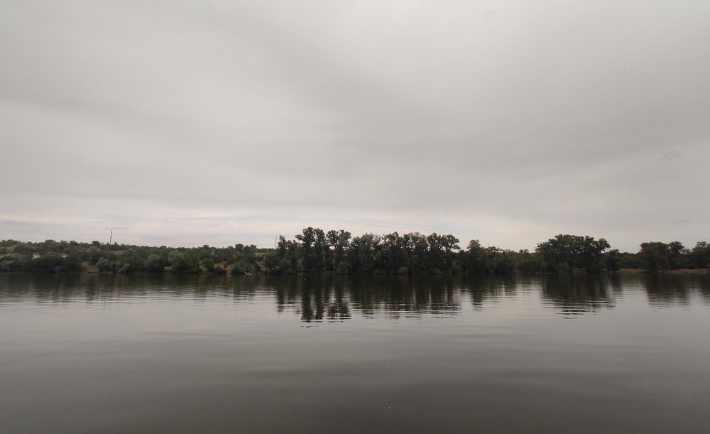 Серый пейзажь.