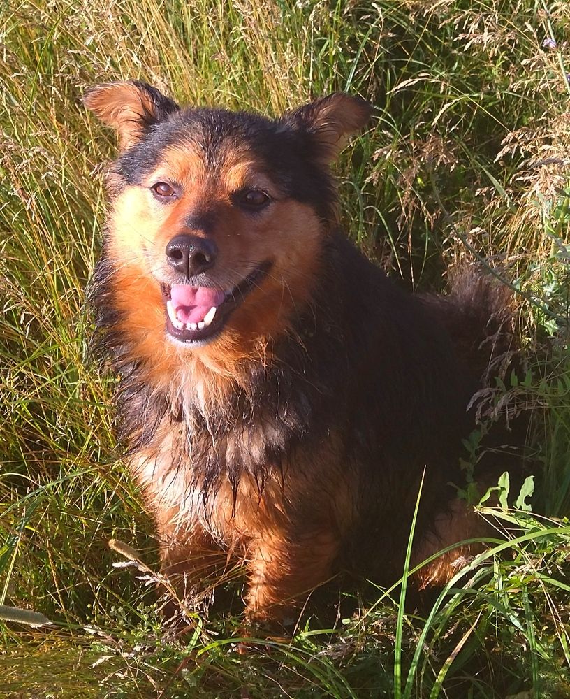 Photograph by Лариса Басова