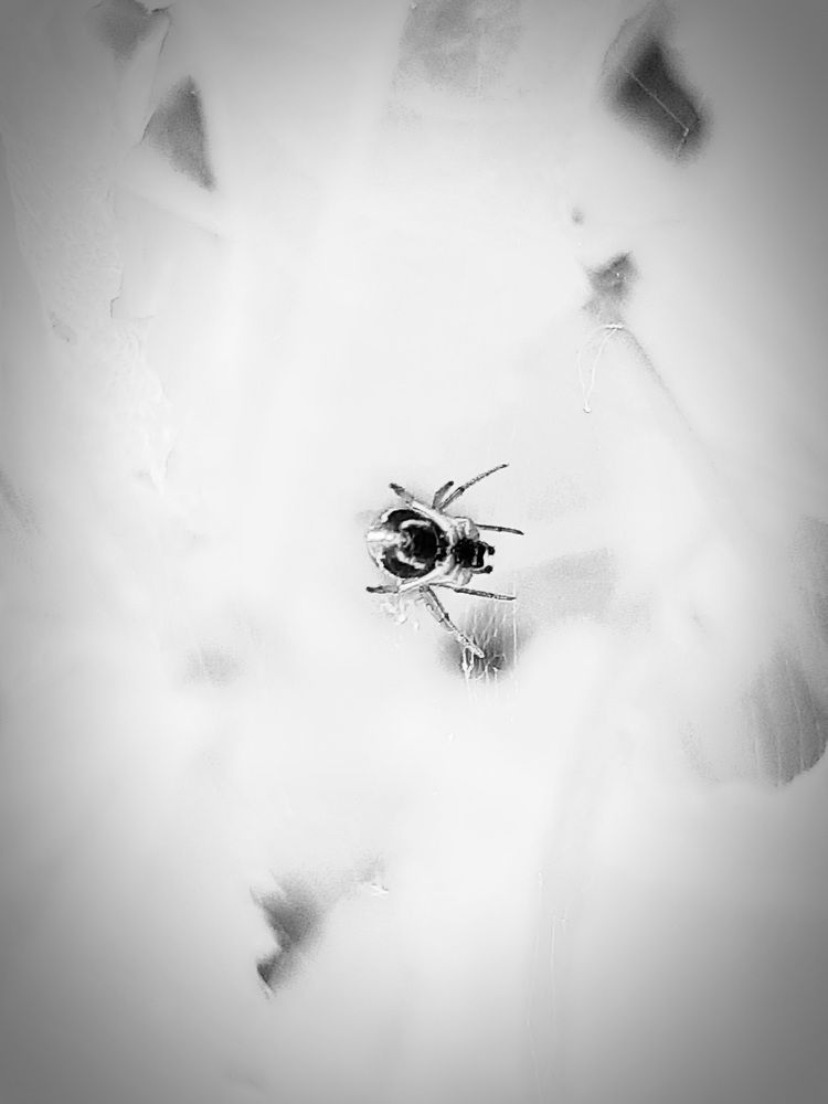 Photograph by Екатерина