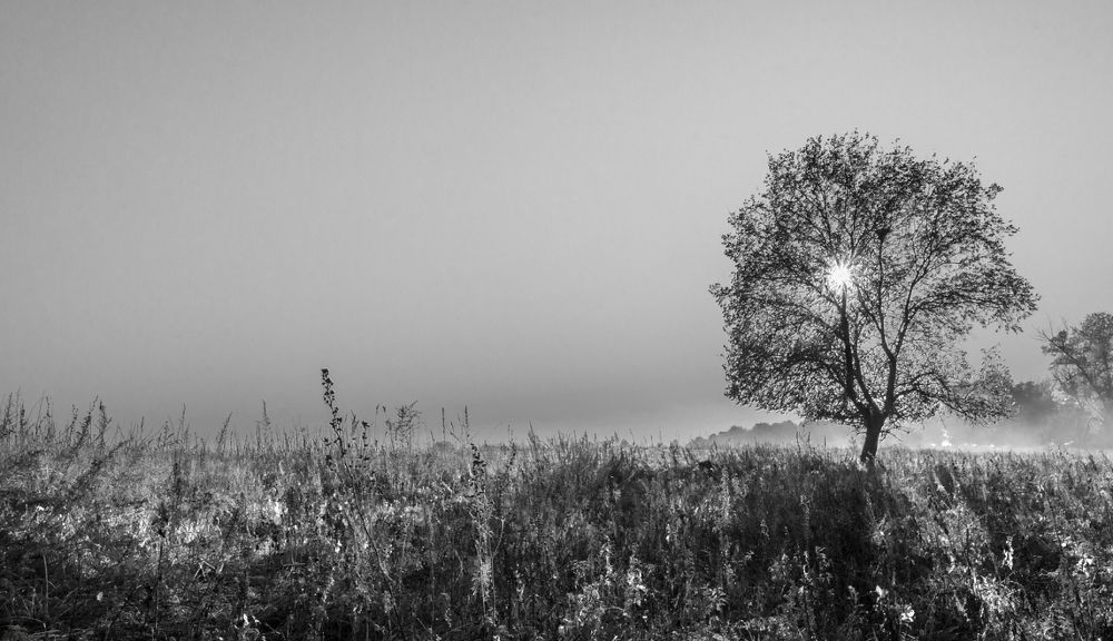 Photograph by Александр Белянский