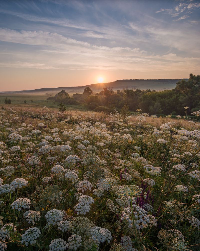 Фотография автора Алексей Проняхин