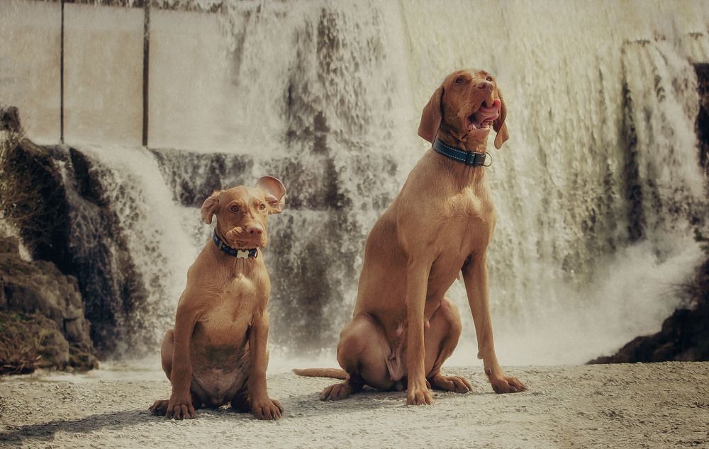 Photograph by Юлия Лушникова