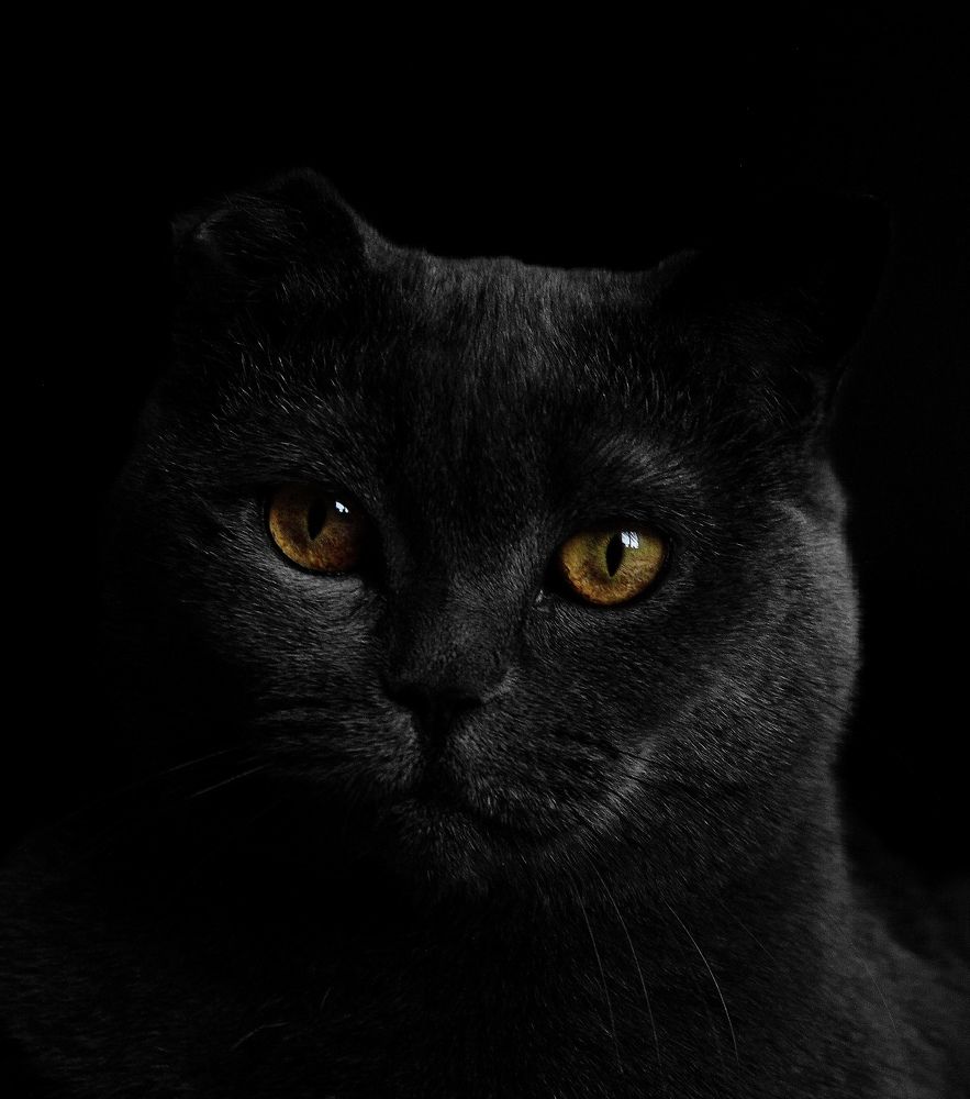 Photograph by Alina Kochneva