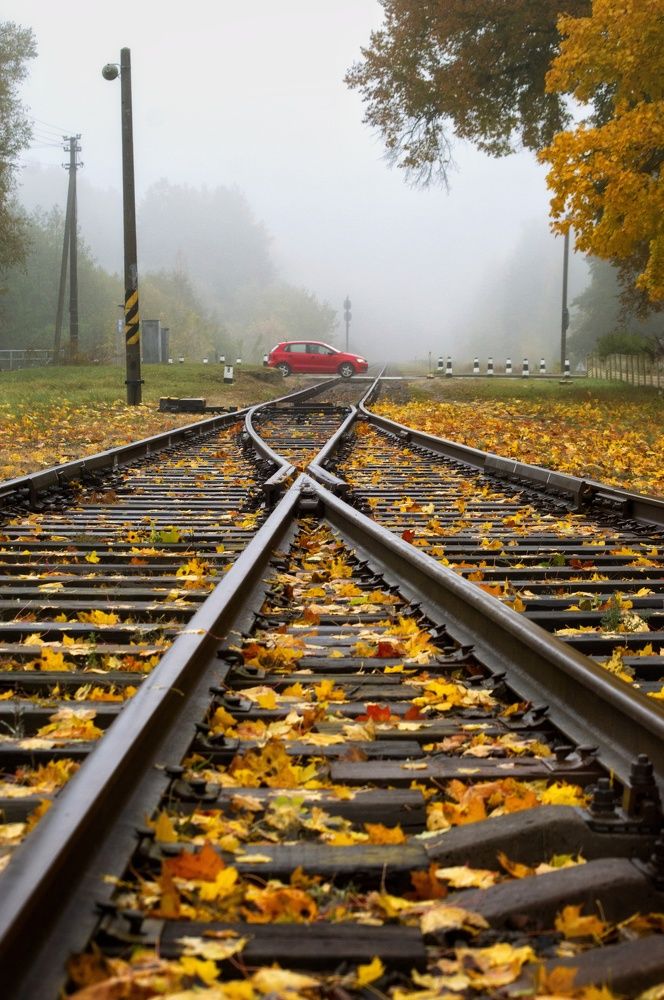 Photograph by Елена Кошелева