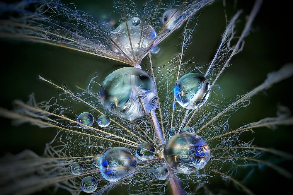 Photograph by Савчук Анатолий